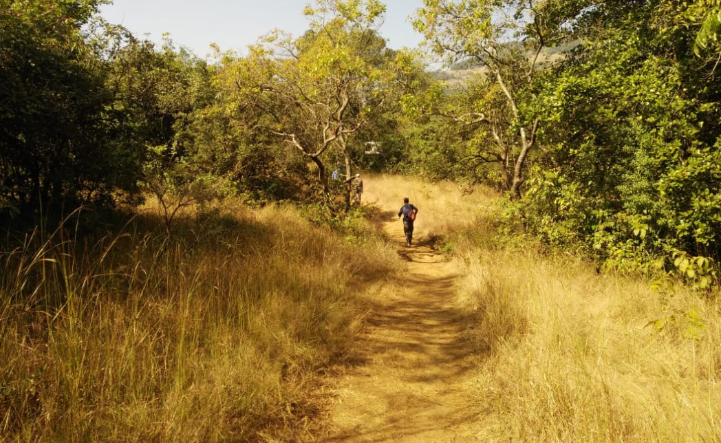 MAHABALESHWAR – VASOTA TREKKING-CUM-TRAINING EXPEDITION 2024 (By Maharashtra State)